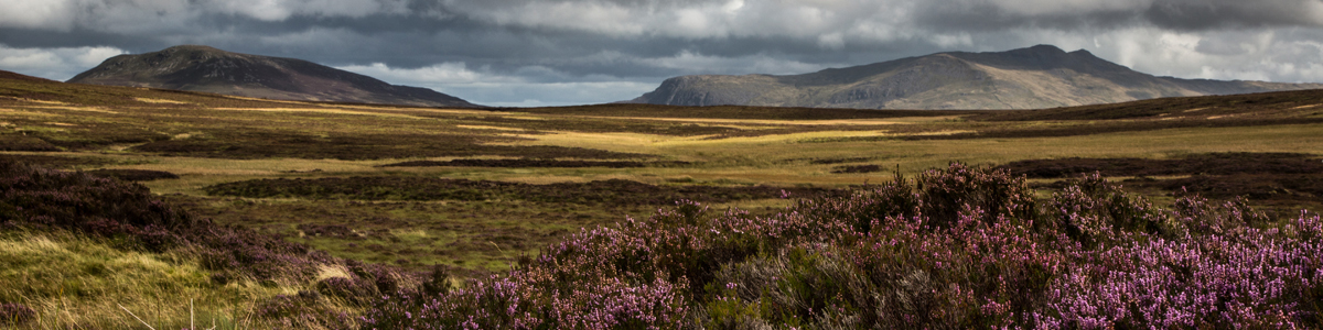 Arenig Fawr Migneint by Alun Williams