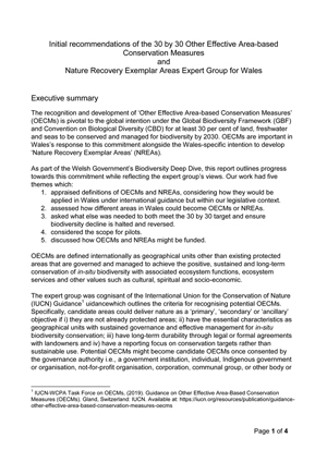 Initial recommendations of the 30 by 30 Other Effective Area-based Conservation Measures and Nature Recovery Exemplar Areas Expert Group for Wales