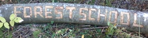 Forest School Wales