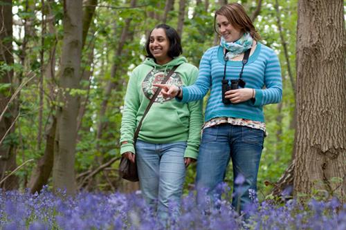 Bluebells Tom Marshal