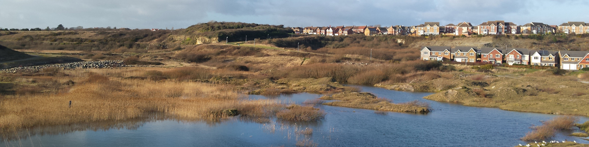 Urban LNR Rhoose - S McHugh