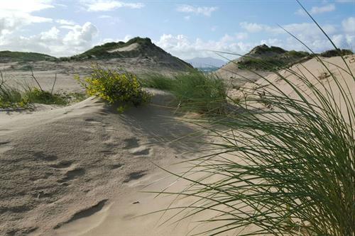 Newborough - NRW