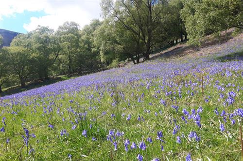 Craig y Cilau NNR - S McHugh