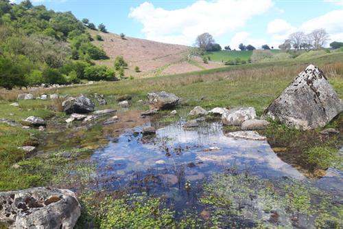 Craig y Cilau NNR - S McHugh