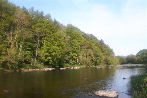 River Wye Builth Wells - S McHugh